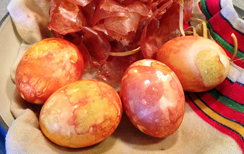 Eggs removed from onion skin